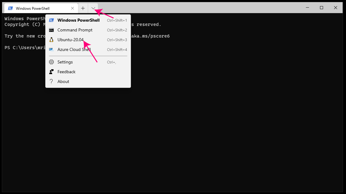 _images/windows-terminal-ubuntu.png